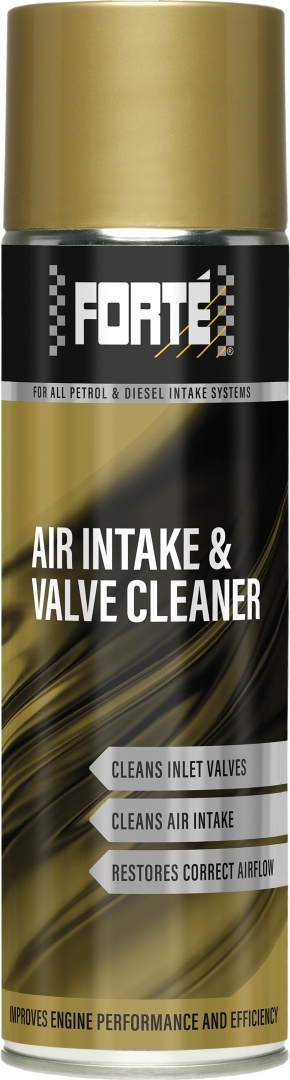 Air Intake & Valve Cleaner